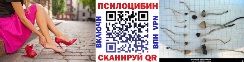 Псилоцибиновые грибы Magic Shrooms  Купить где  Кызыл 