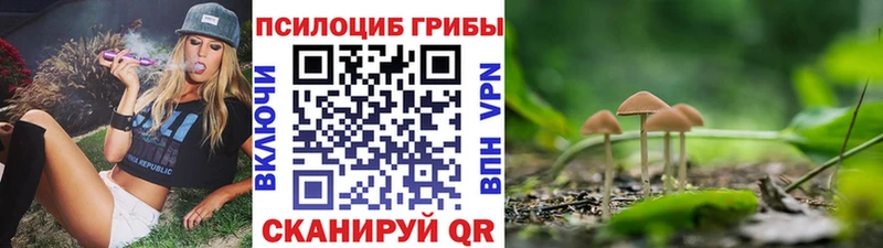Галлюциногенные грибы прущие грибы Кызыл
